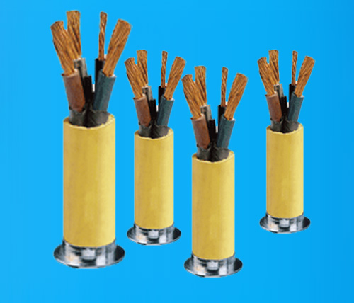 Š™¡å¥—ç”늼†åނ家
